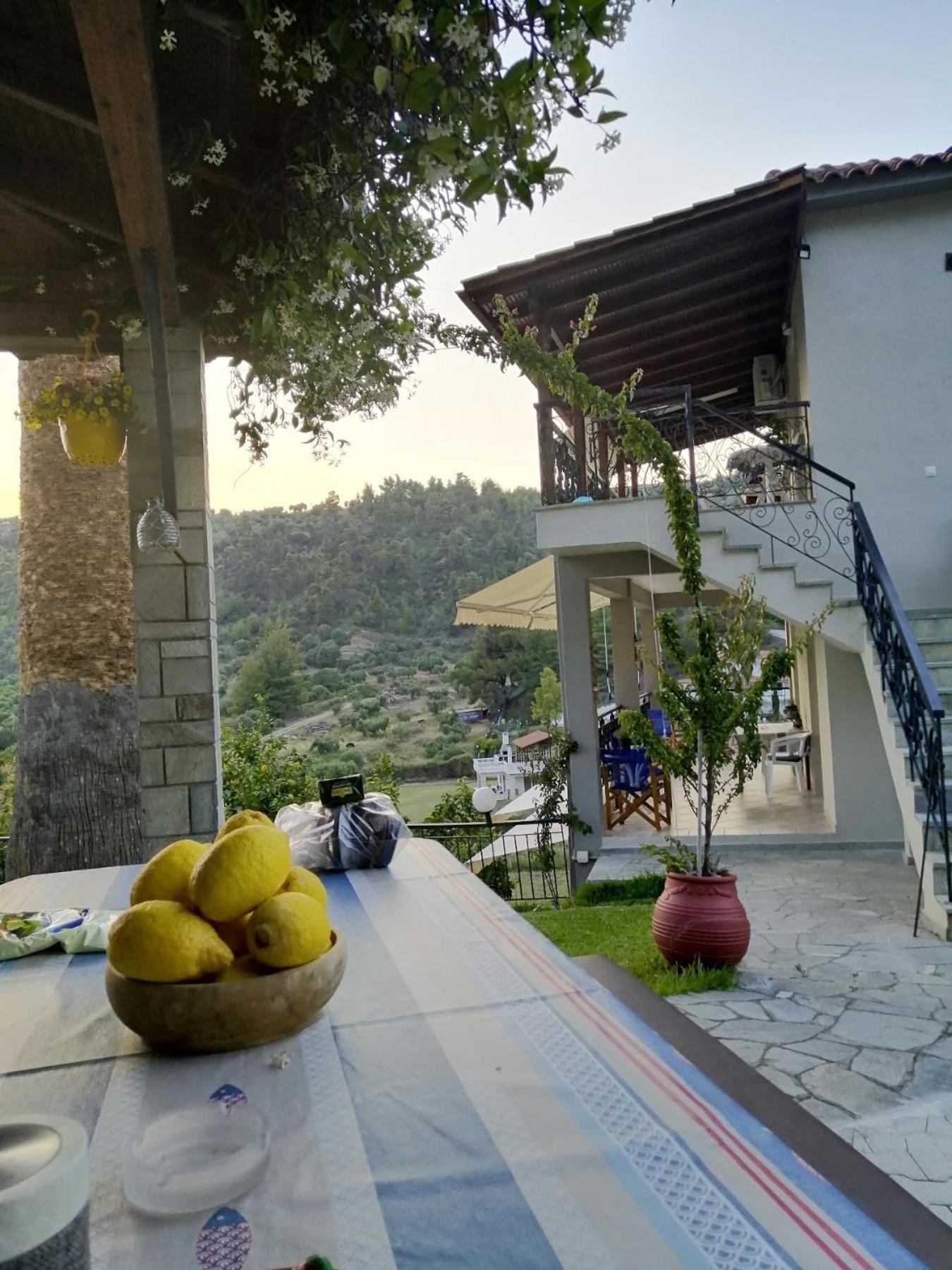 Fotini'S House Daire Nea Skioni Dış mekan fotoğraf