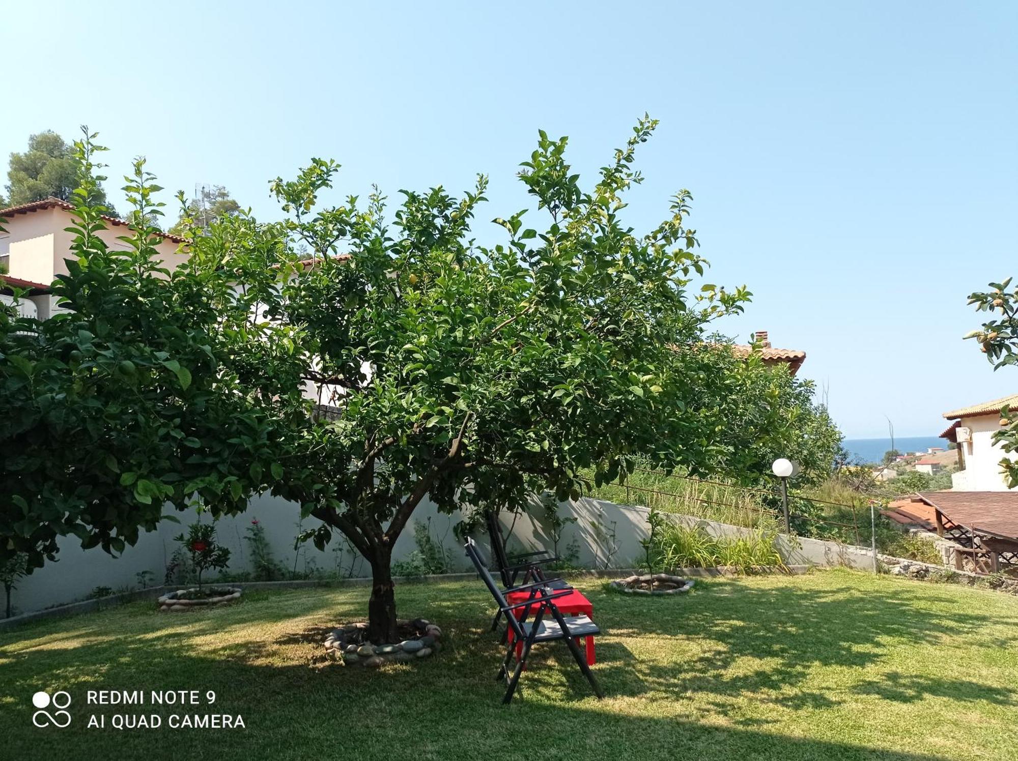 Fotini'S House Daire Nea Skioni Dış mekan fotoğraf